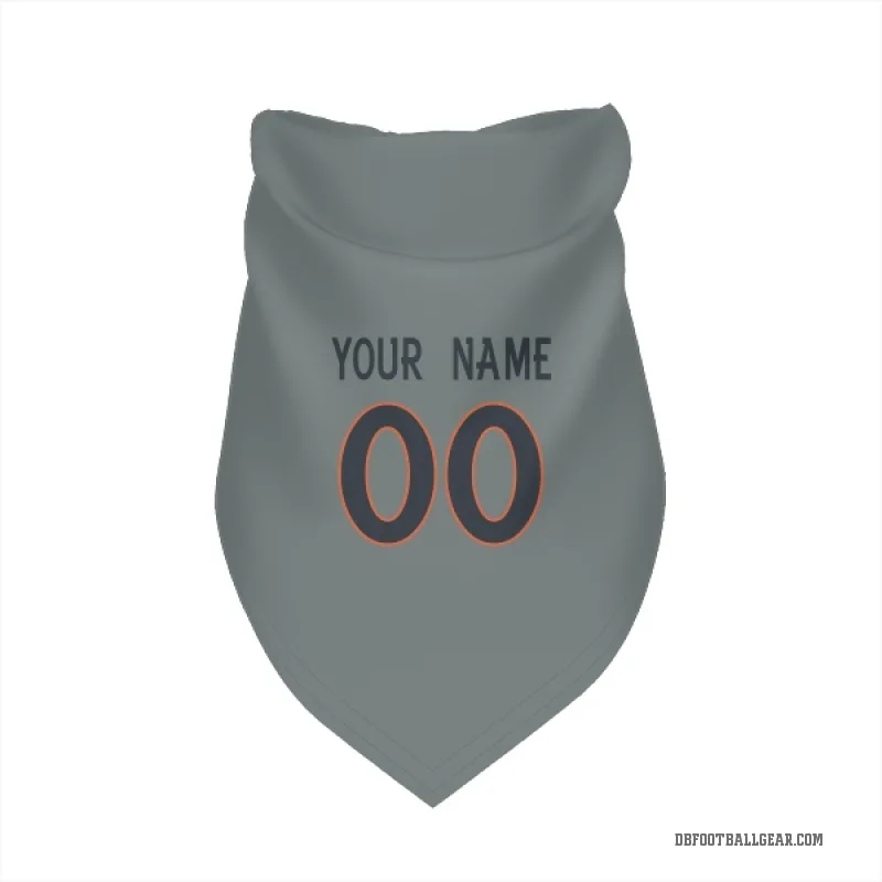 Custom  Gray Denver Broncos   Cat & Dog Pet Bandana