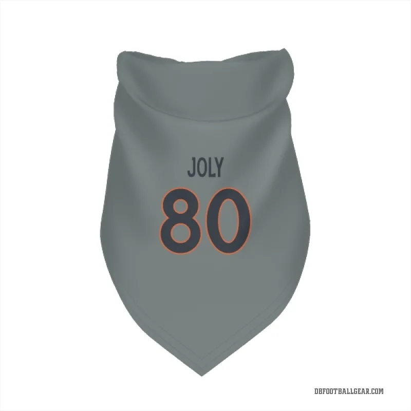 Justin Joly  Gray Denver Broncos  Cat & Dog Pet Bandana