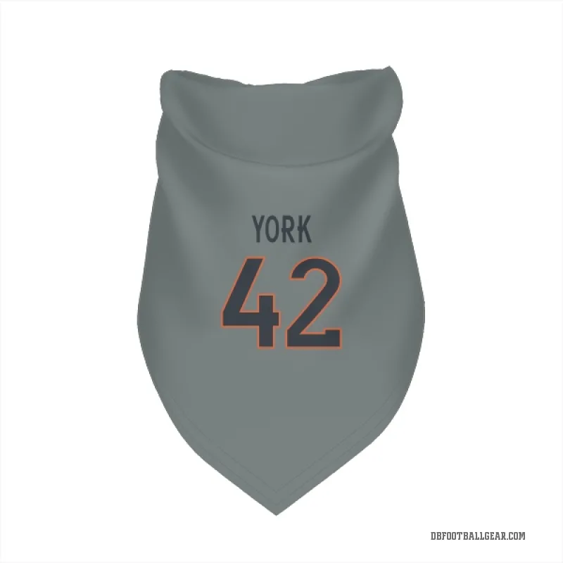 Taurean York  Gray Denver Broncos  Cat & Dog Pet Bandana