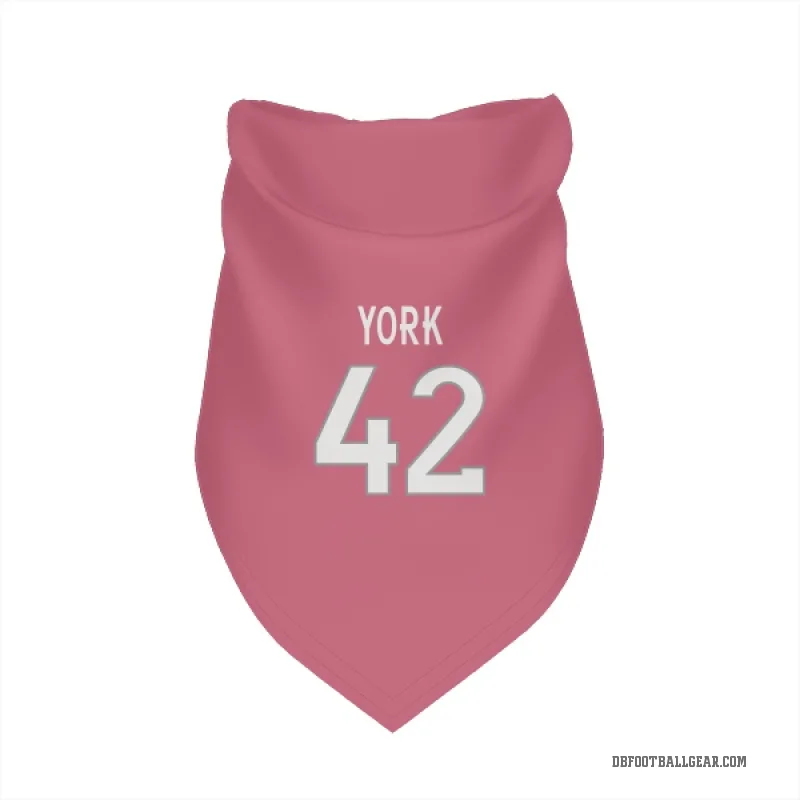 Taurean York  Pink Denver Broncos  Cat & Dog Pet Bandana